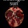 Midnight Sun By Stephenie Meyer Reaction